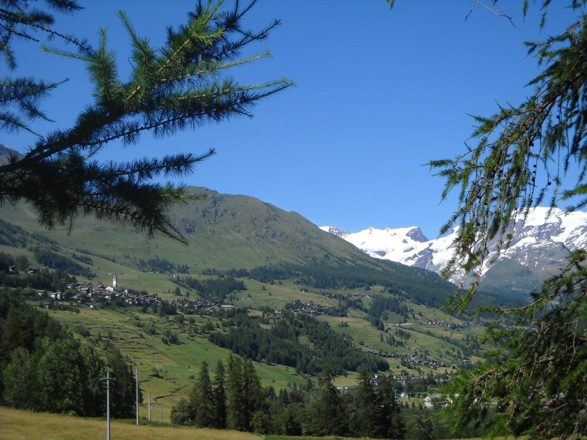 Residence Les Myosotis Champoluc Dış mekan fotoğraf