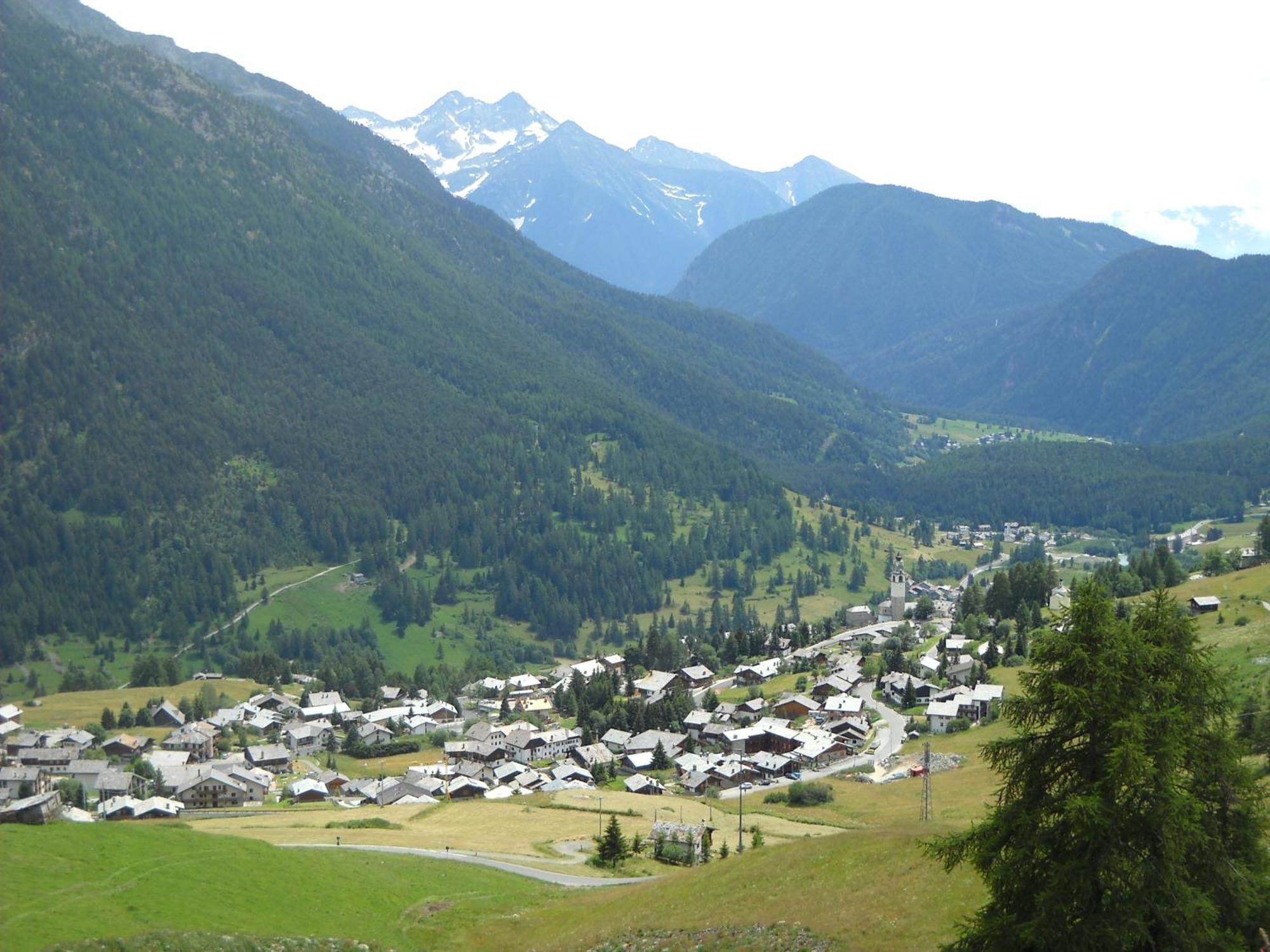 Residence Les Myosotis Champoluc Dış mekan fotoğraf