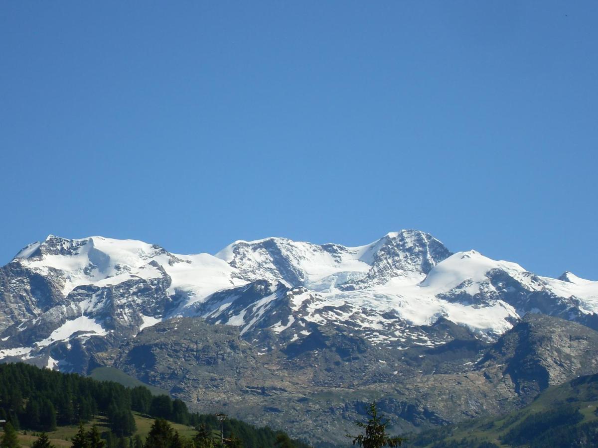 Residence Les Myosotis Champoluc Dış mekan fotoğraf